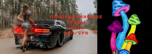 герыч Пересвет
