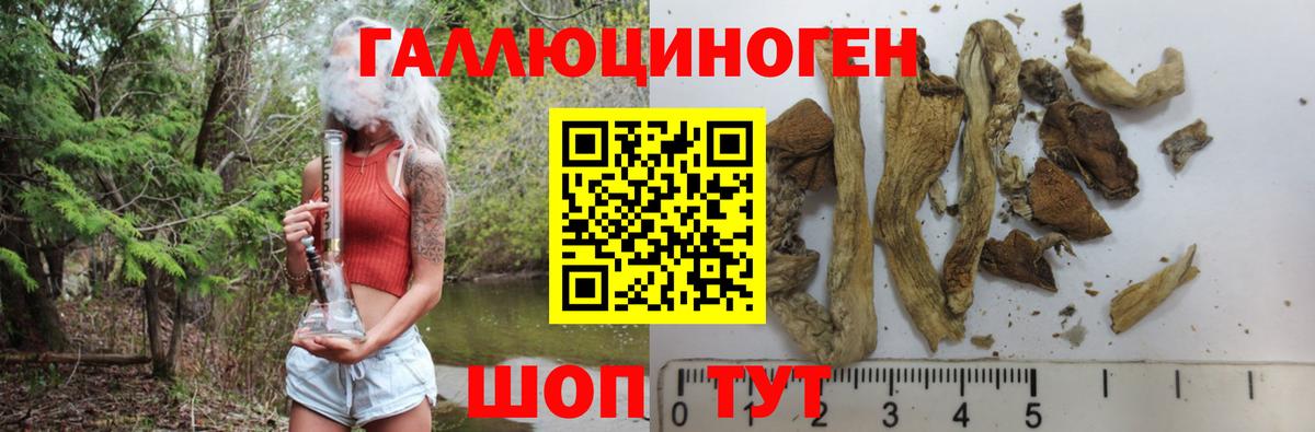 Галлюциногенные грибы мухоморы  Асино 