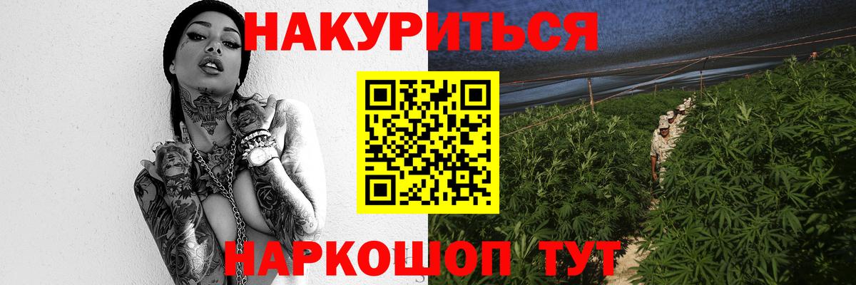 Марихуана сатива Асино