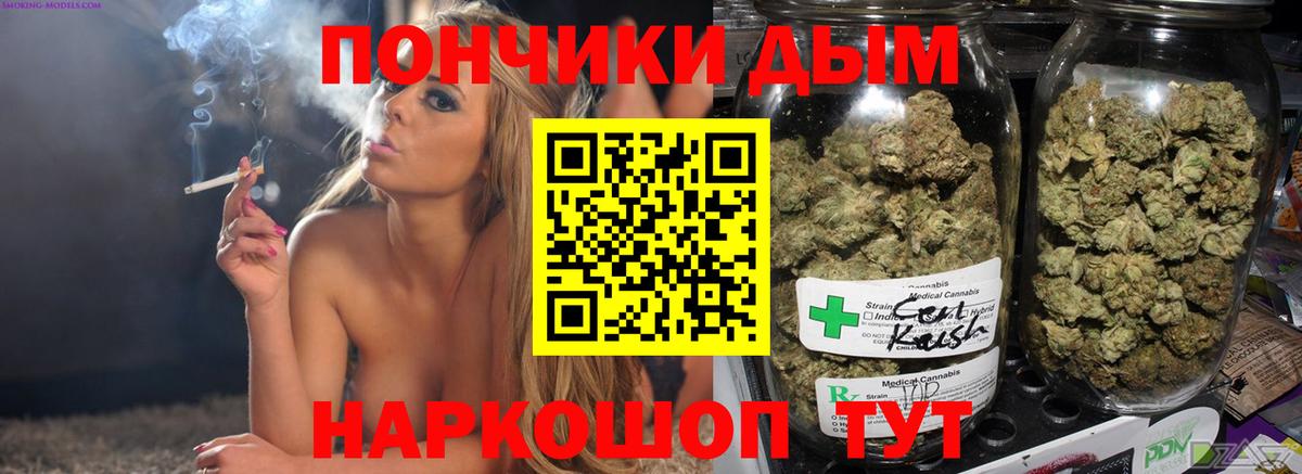 Бошки марихуана марихуана Асино